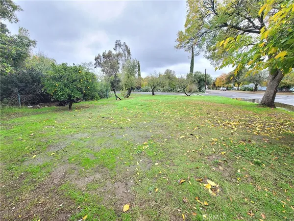 a view of a field with trees