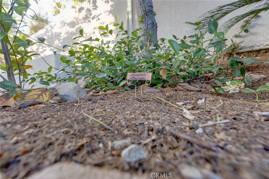 31952 Mill Stream Road Trabuco Canyon, CA 92679 - Photo 25 of 74