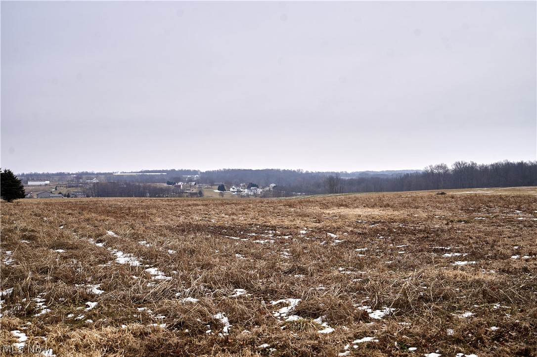 Haas Road Wooster, OH 44691 - Photo 1 of 9 Gallery Image 1
