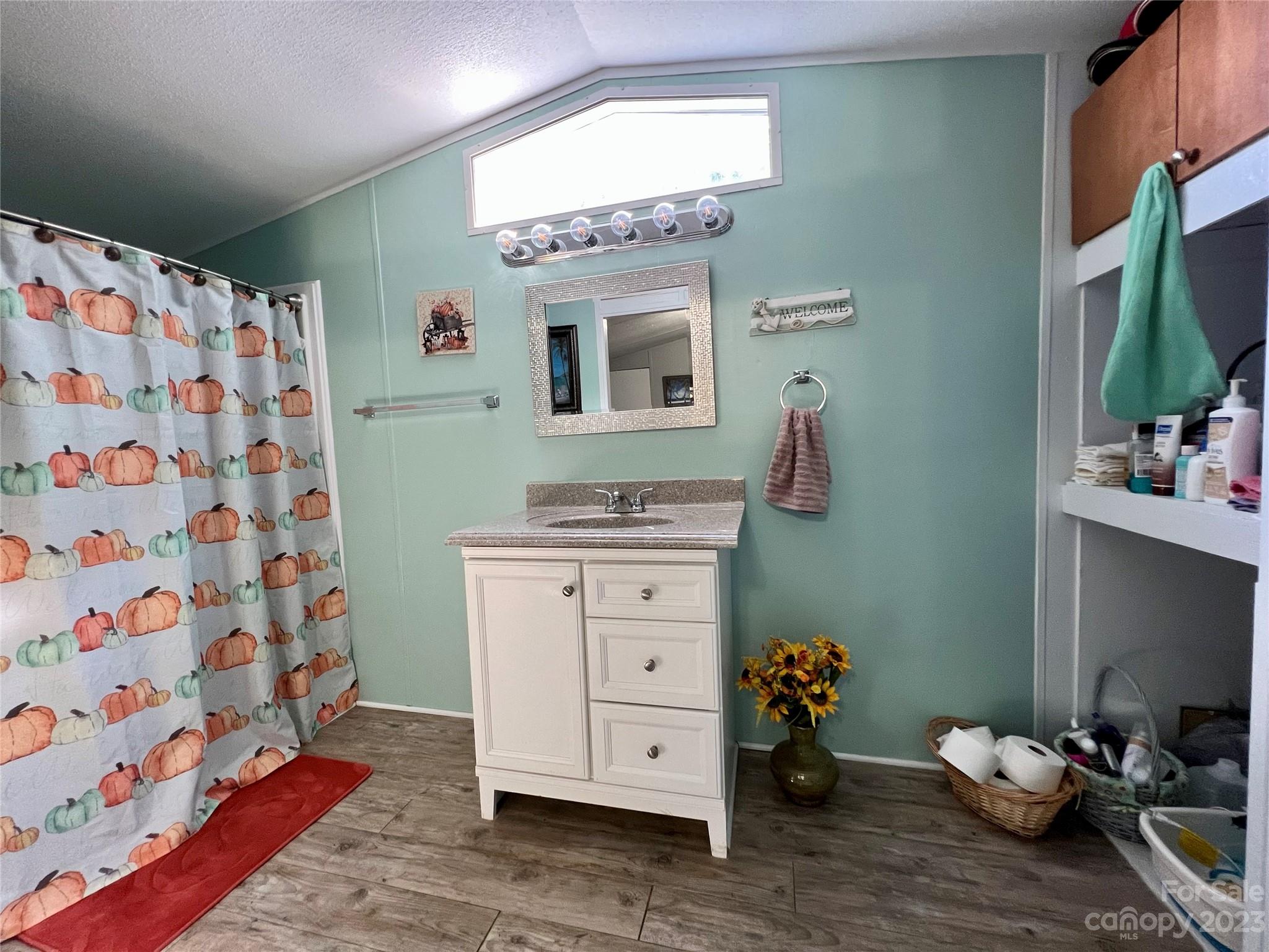 1508 Scenic View Road Hickory Grove, SC 29717 - Photo 19 of 24 a spacious bathroom with a sink mirror and vanity