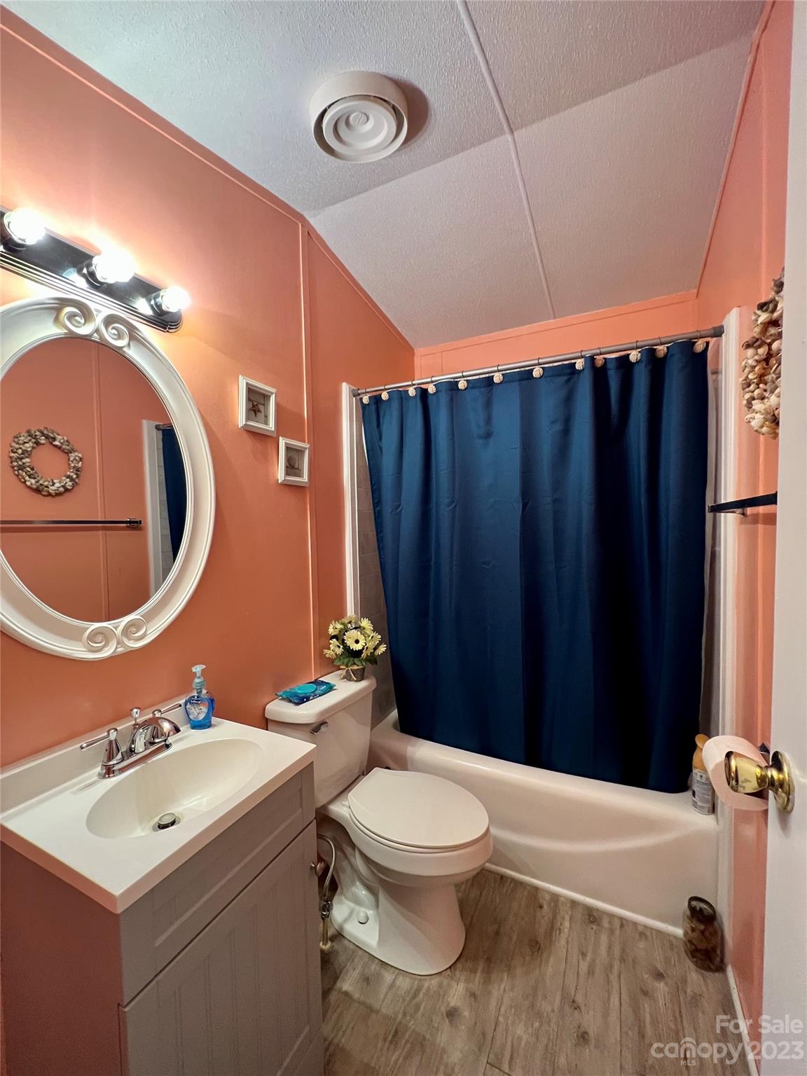 1508 Scenic View Road Hickory Grove, SC 29717 - Photo 22 of 24 a bathroom with a sink a toilet and shower