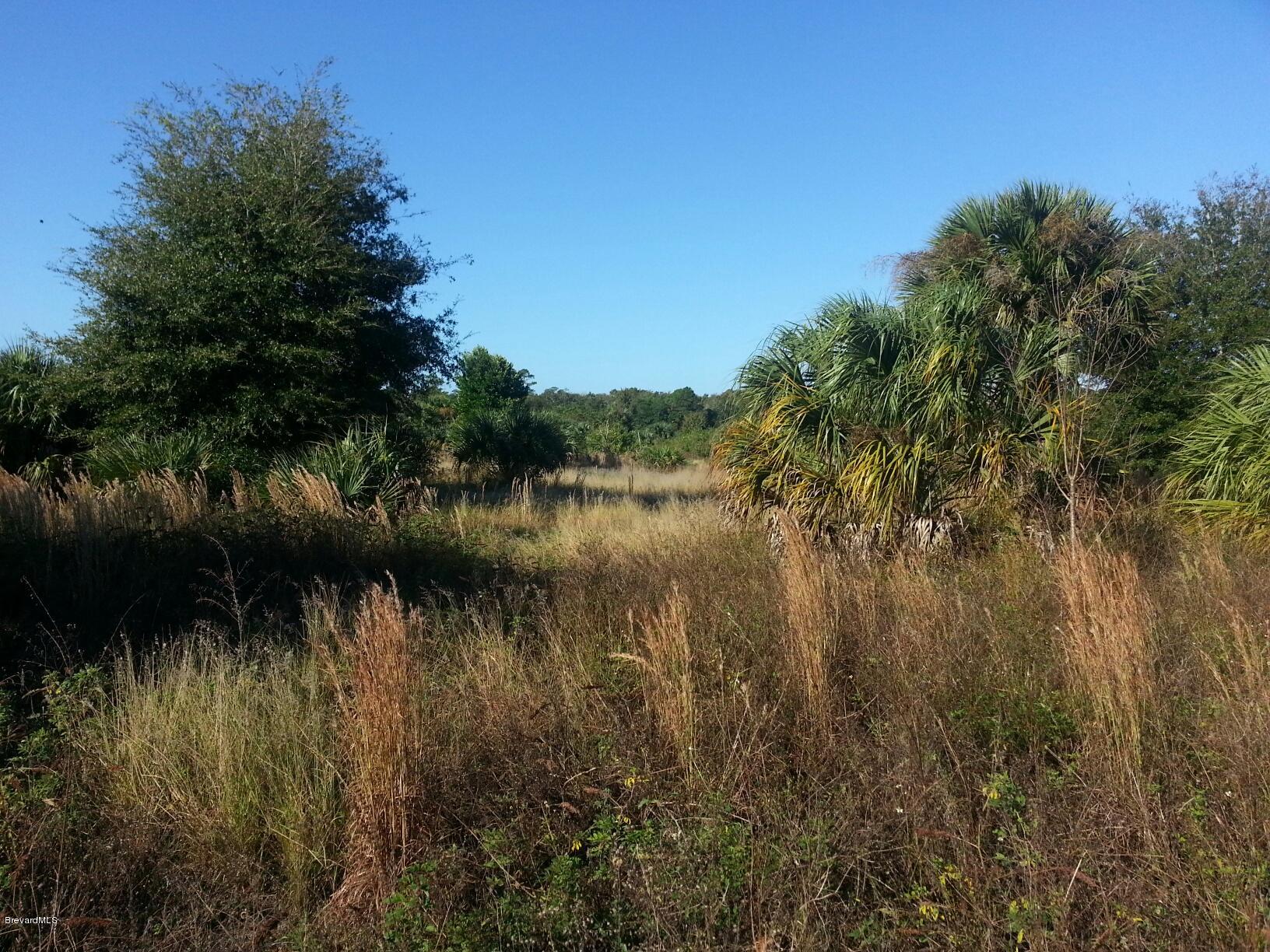 3170 Folsom Road Mims, FL 32754 - Photo 3 of 4 image