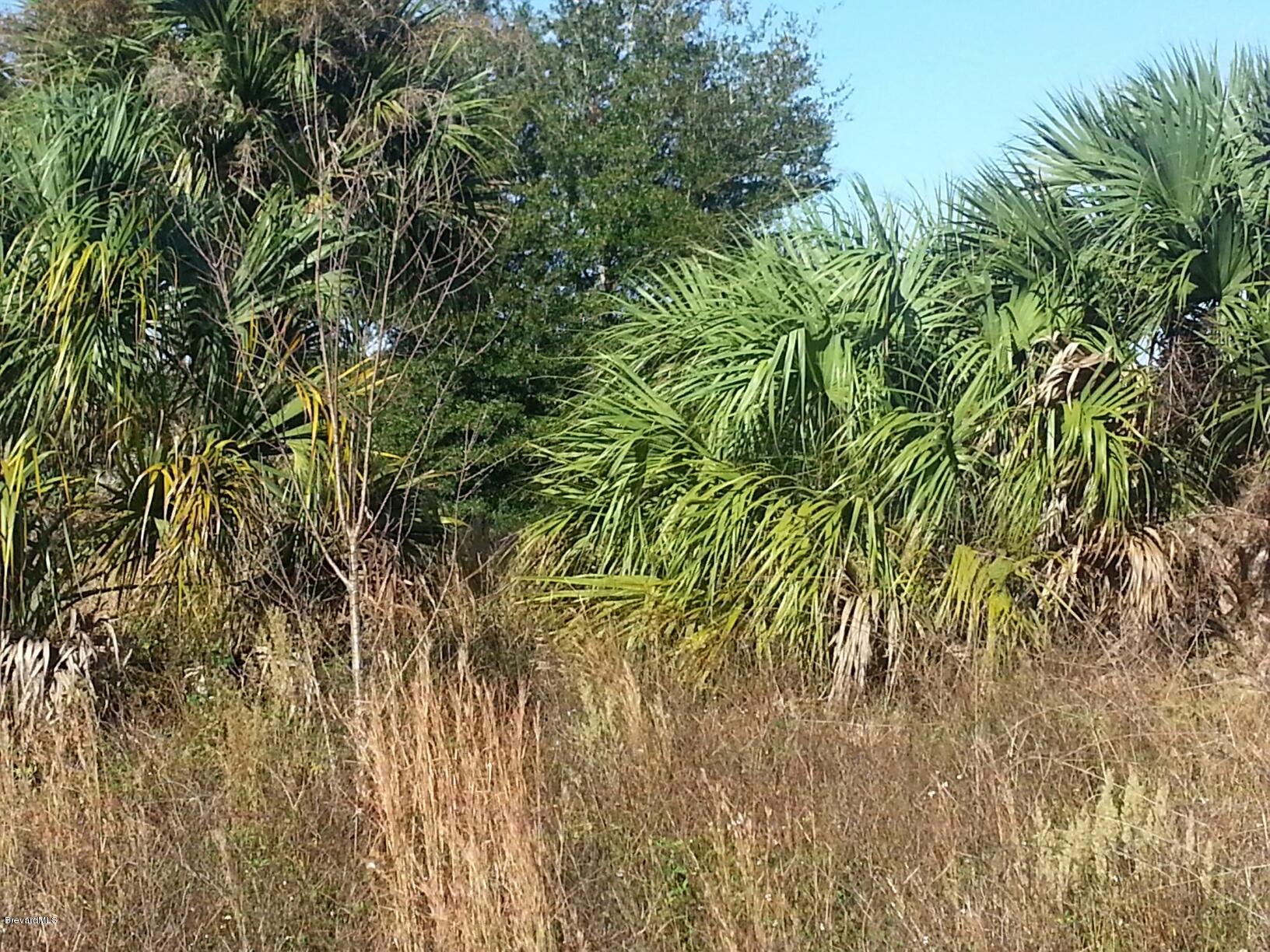 3170 Folsom Road Mims, FL 32754 - Photo 4 of 4 image