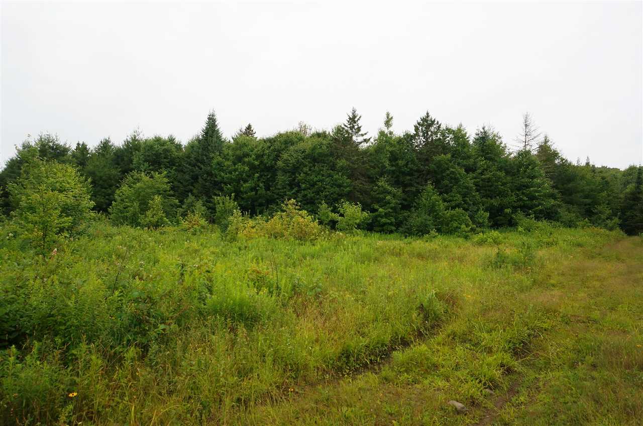 0 Freedom Road Sutton, VT 05867 - Photo 3 of 3 Gallery Image 3