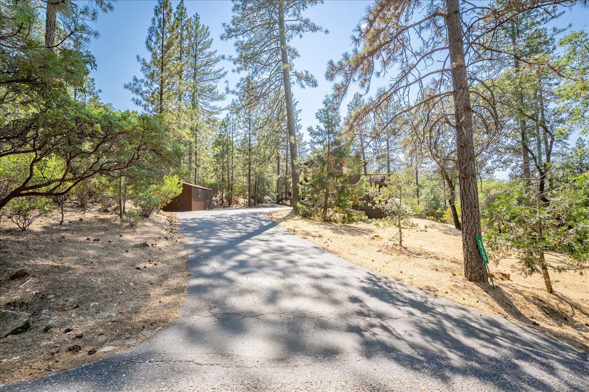 3560 Sugar View Road Meadow Vista, CA 95722 - Photo 46 of 49