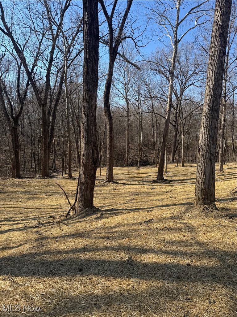 10015 Wesley Chapel Road Mount Perry, OH 43760 - Photo 15 of 18 View of yard