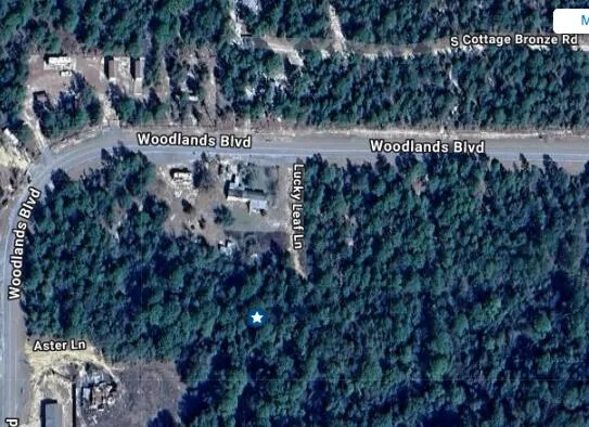 $25,000 | Tbd Lucky Leaf Lane, DeFuniak Springs, FL 32433