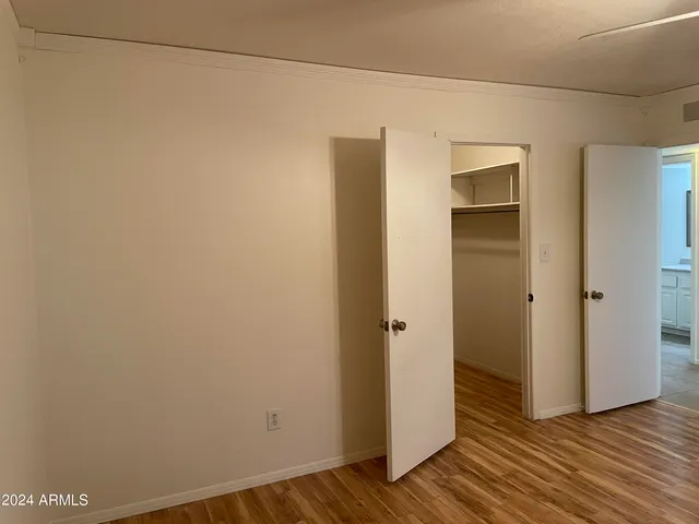 a view of a backyard with plants and palm tree