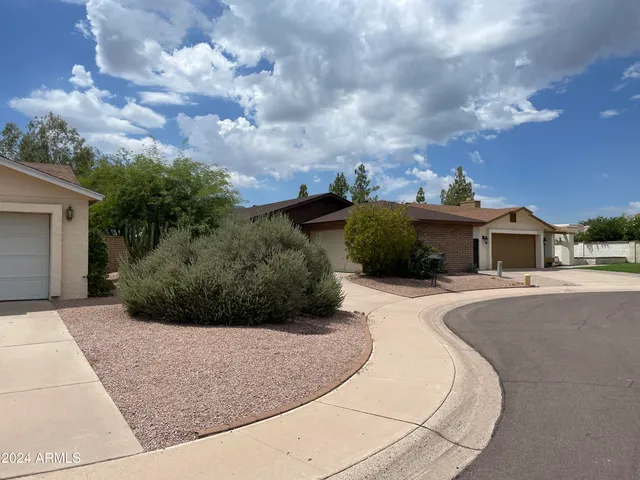 a view of a garden with potted plants
