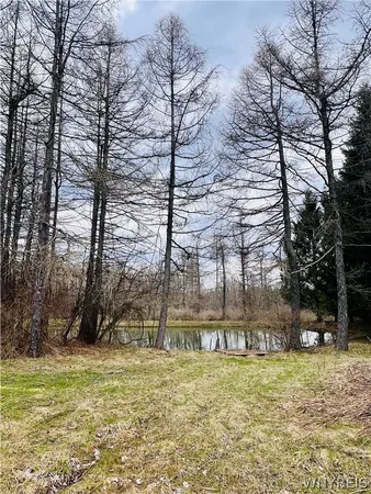 $159,000 | 32 Deer Pond Acres, Orangeville, NY 14569