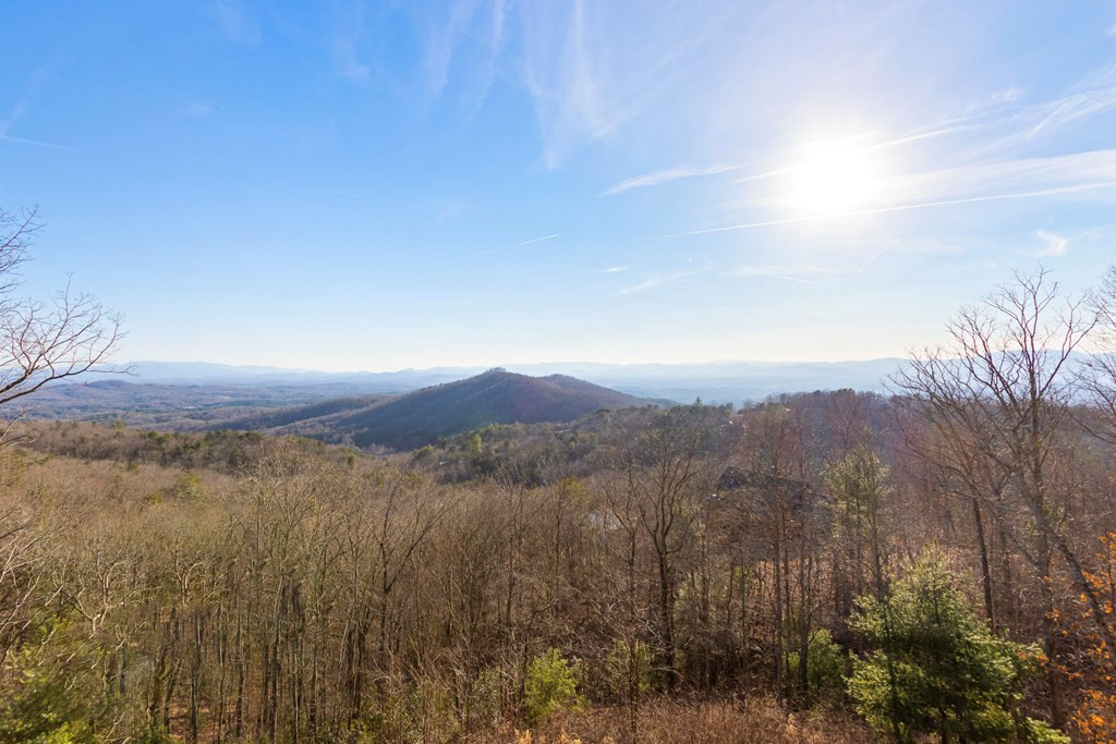 150 Lazy Country Cv Road Murphy, NC 28906 - Photo 49 of 75 Gallery Image 49