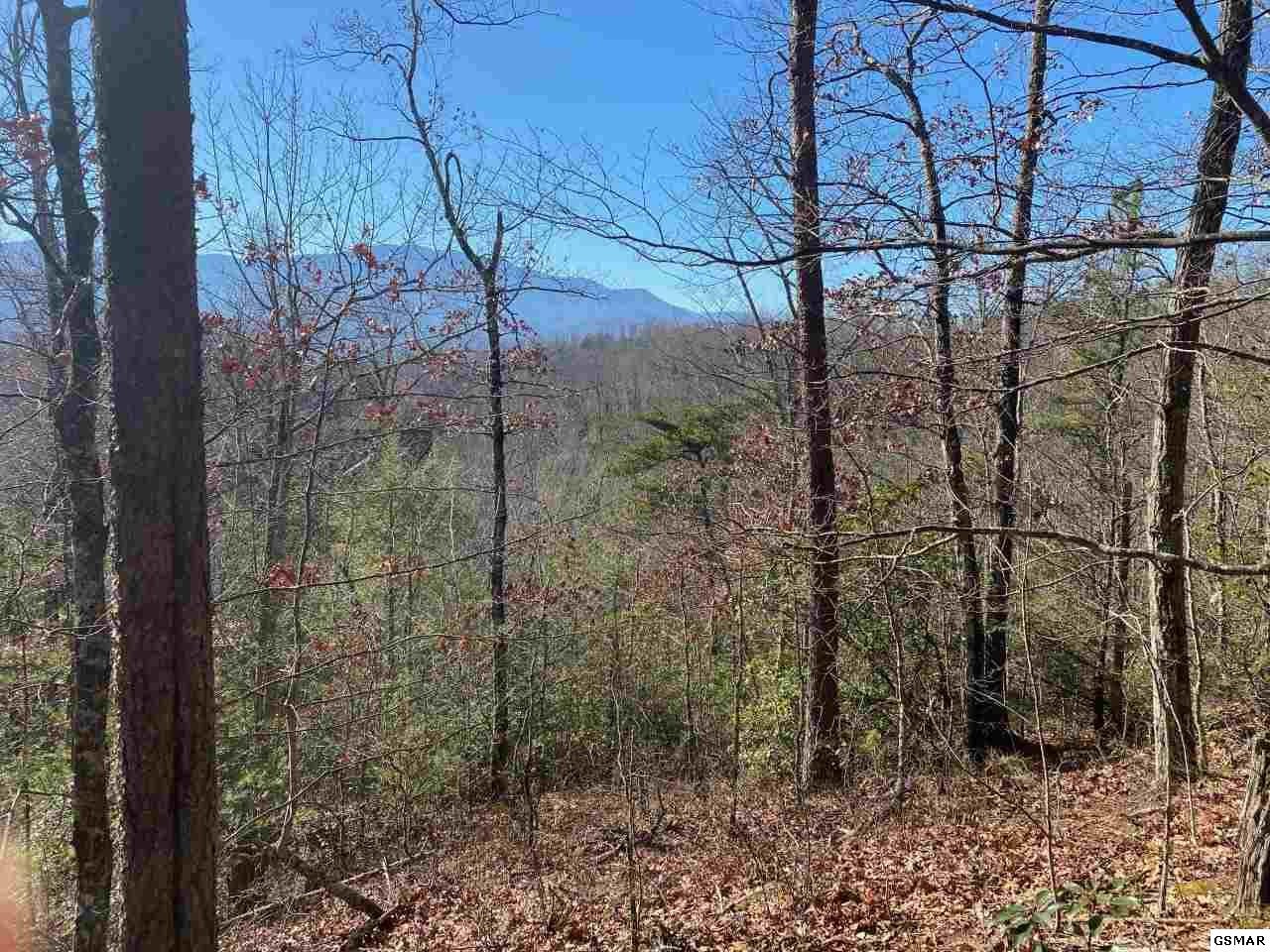 69 Big Bear Ridge Road Gatlinburg, TN 37738 - Photo 1 of 11