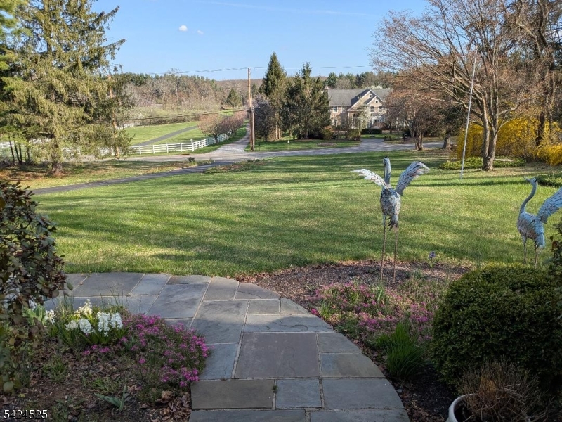 225 Pleasant Hill Road Flanders, NJ 07836 - Photo 2 of 28
