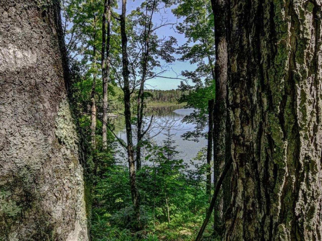 On Powderhorn Road, Unit 69 Presque Isle, WI 54557 - Photo 8 of 14 Gallery Image 8