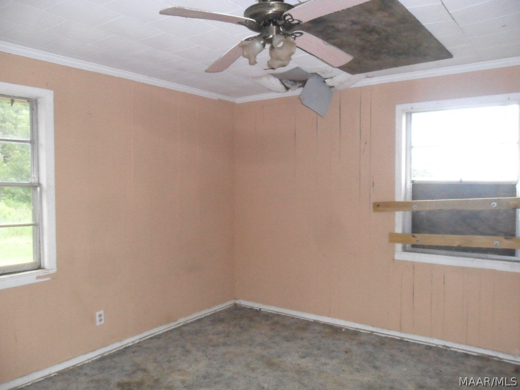 938 Lower Bozeman Road Brantley, AL 36009 - Photo 9 of 24 Gallery Image 9