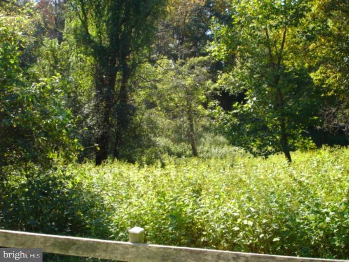 1583 St Margarets Road Annapolis, MD 21409 - Photo 7 of 21 Pasture