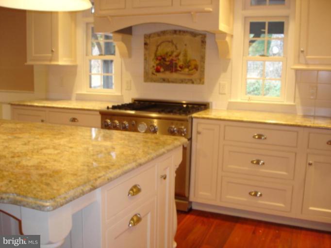 1583 St Margarets Road Annapolis, MD 21409 - Photo 10 of 21 Commercial Grade Stove and Hand Painted Mural