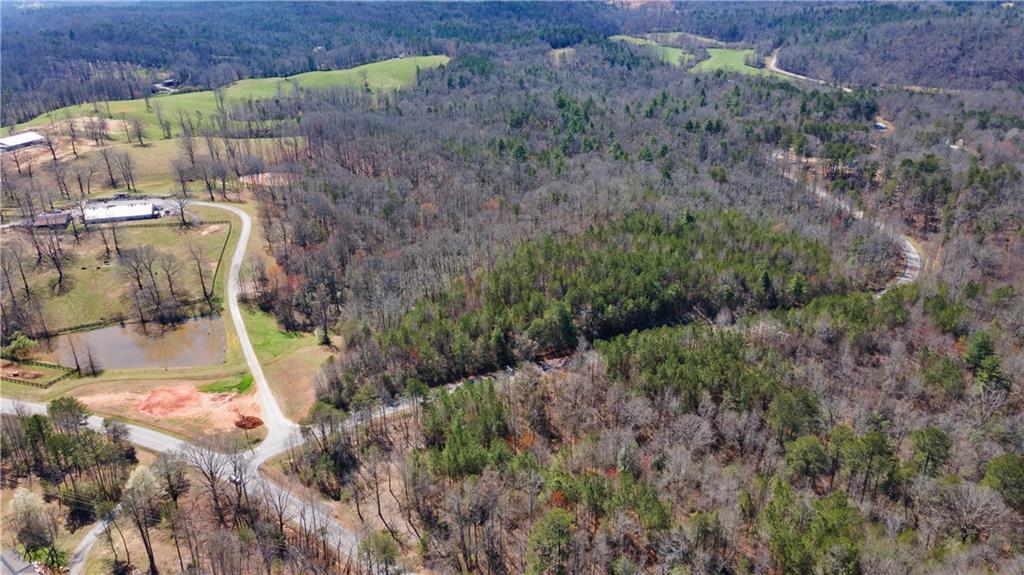 0 Afton Road, Unit 1 Marble Hill, GA 30148 - Photo 6 of 12 a view of outdoor space and yard