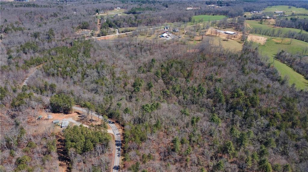 0 Afton Road, Unit 1 Marble Hill, GA 30148 - Photo 9 of 12 a view of a covered with trees