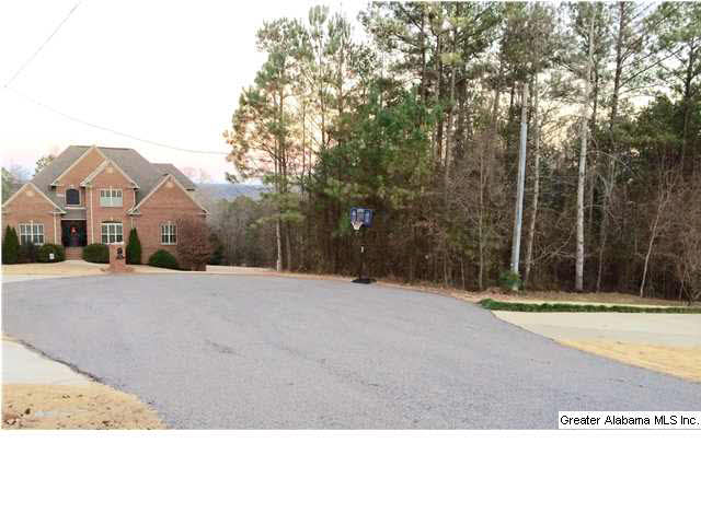 Grande View Drive Springville, AL 35146 - Photo 1 of 1