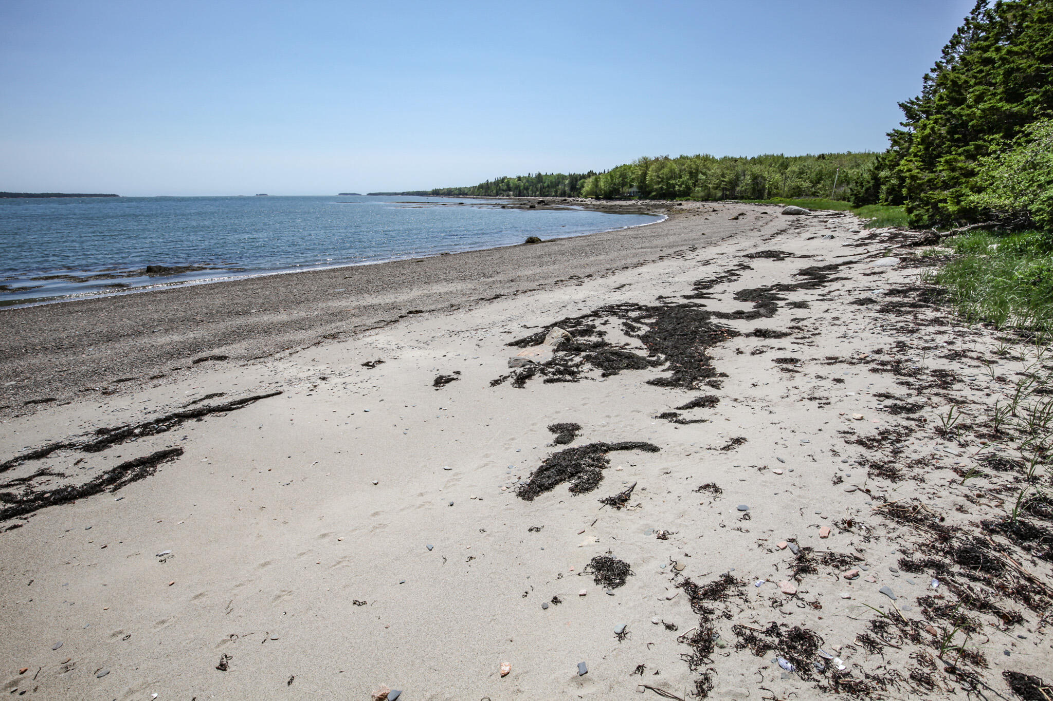 19 Peninsula Shore Road Corea, ME 04624 - Photo 17 of 41 IMG_7172