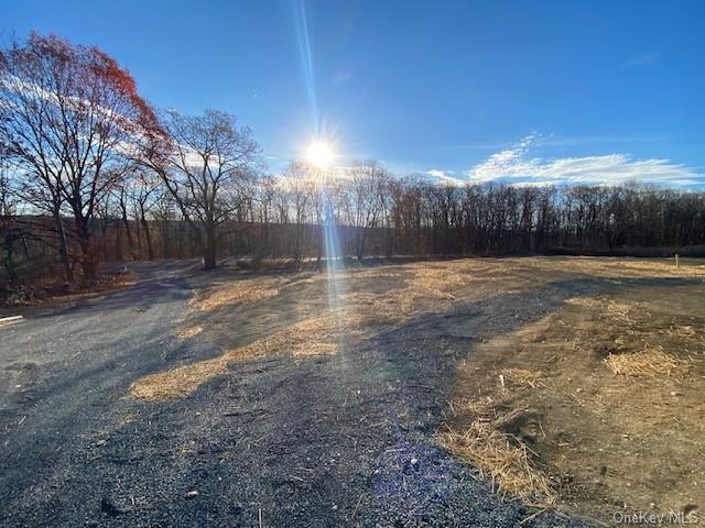 Lot #3 Mountain Road Port Jervis, NY 12771 - Photo 5 of 31 View of road with a rural view