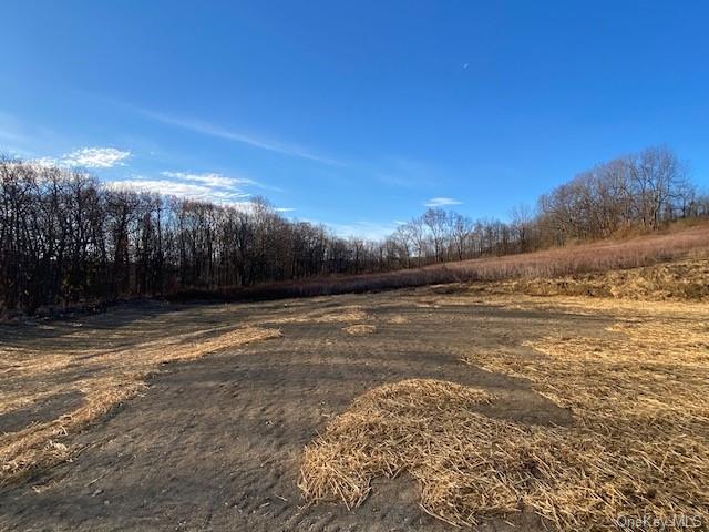 Lot #3 Mountain Road Port Jervis, NY 12771 - Photo 6 of 31 View of road with a rural view