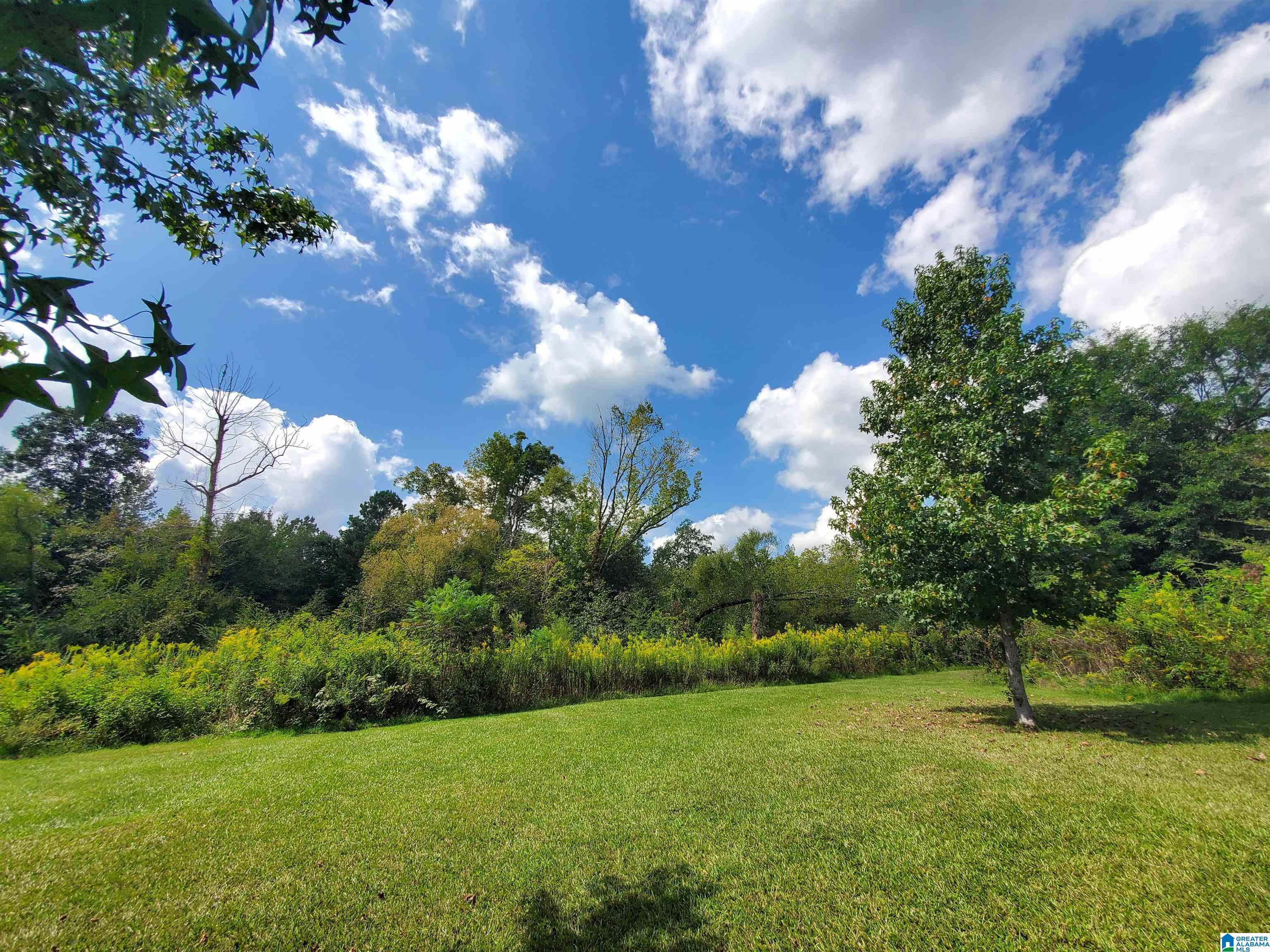 622 Rocky Hollow Road Jacksonville, AL 36265 - Photo 35 of 40