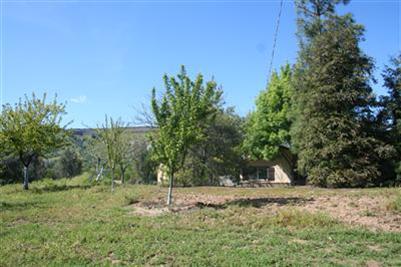 21895 Frontier Road Clovis, CA 93619 - Photo 42 of 48 Orchard on drip irrigation include Apple, Pear, Plum, Peach and Apricot.