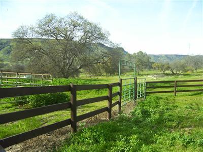 21895 Frontier Road Clovis, CA 93619 - Photo 44 of 48 3 fenced and cross fenced pastures.