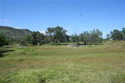 21895 Frontier Road Clovis, CA 93619 - Photo 45 of 48 Beautiful level property, plenty of privacy!