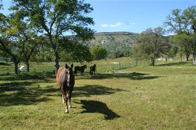 21895 Frontier Road Clovis, CA 93619 - Photo 47 of 48 With a 40 Ac preserve located directly behind subject property...no chance of home construction behind to block view.