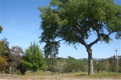 21895 Frontier Road Clovis, CA 93619 - Photo 48 of 48 Nice circle driveway, Valerie Meadows is a perfect location for Horse Lovers, plenty of trails for riding and enjoying your animals!