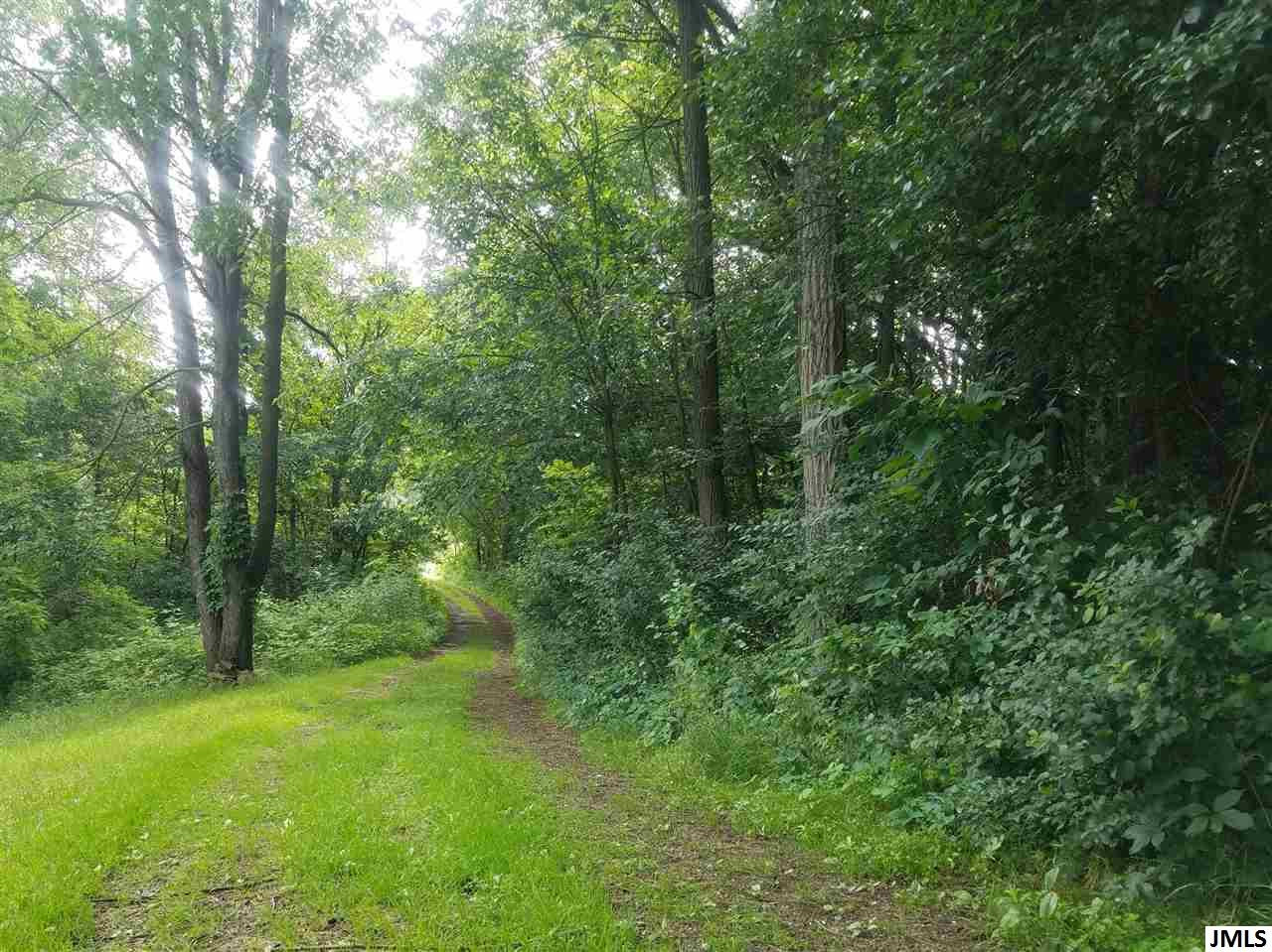 2630 Glasgow Road Jackson, MI 49201 - Photo 3 of 23 Photo 3