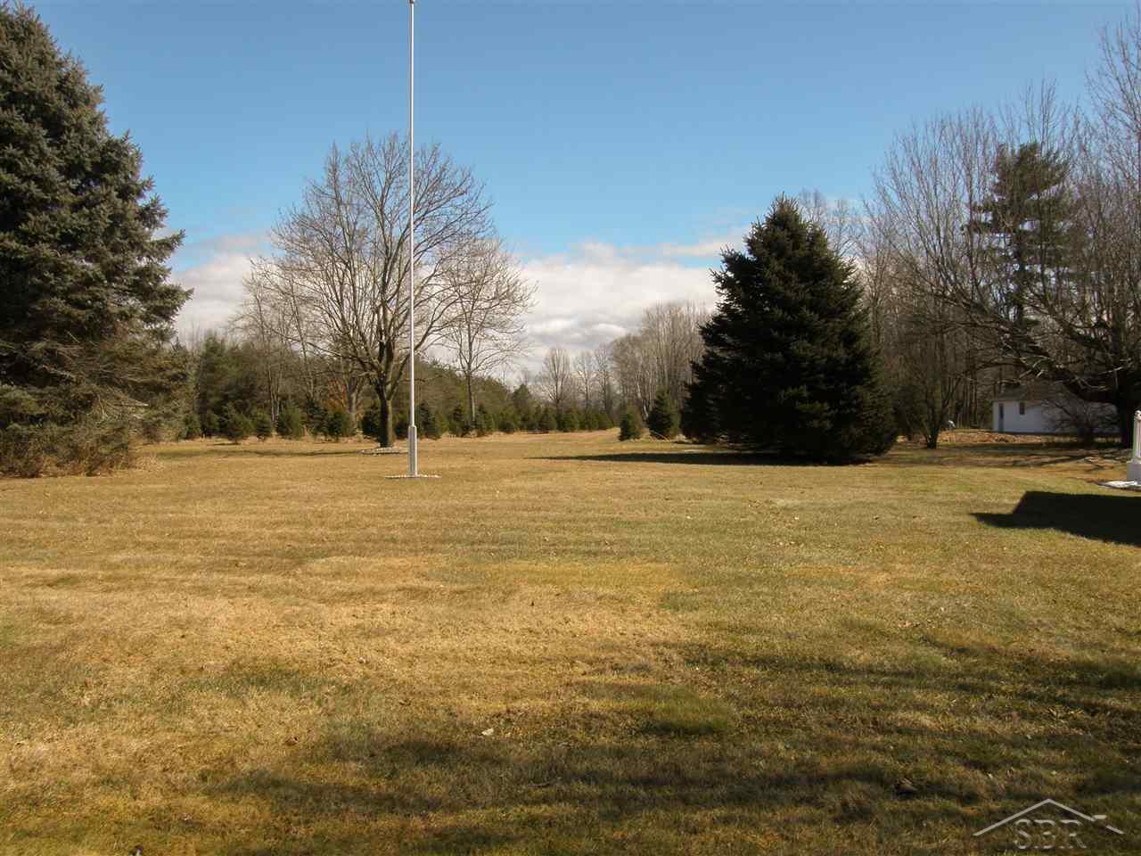 6285 South Graham Road St. Charles, MI 48655 - Photo 3 of 25