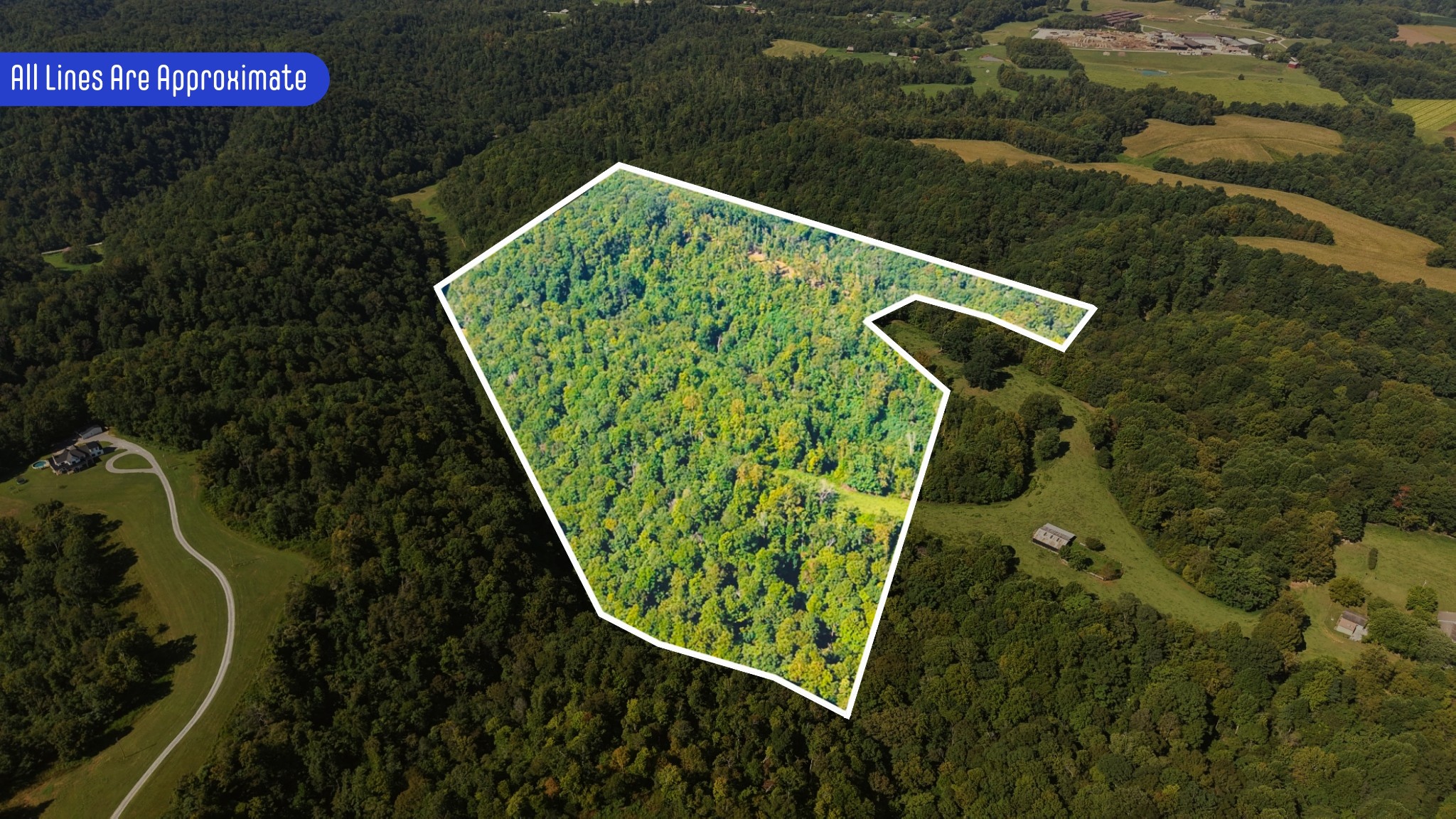 0 Wartrace Road Pleasant Shade, TN 37145 - Photo 2 of 42 Gallery Image 2