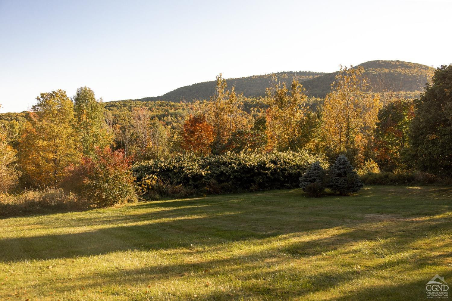 5289 Co Rte 20 Durham, NY 12422 - Photo 50 of 59 a view of a mountain