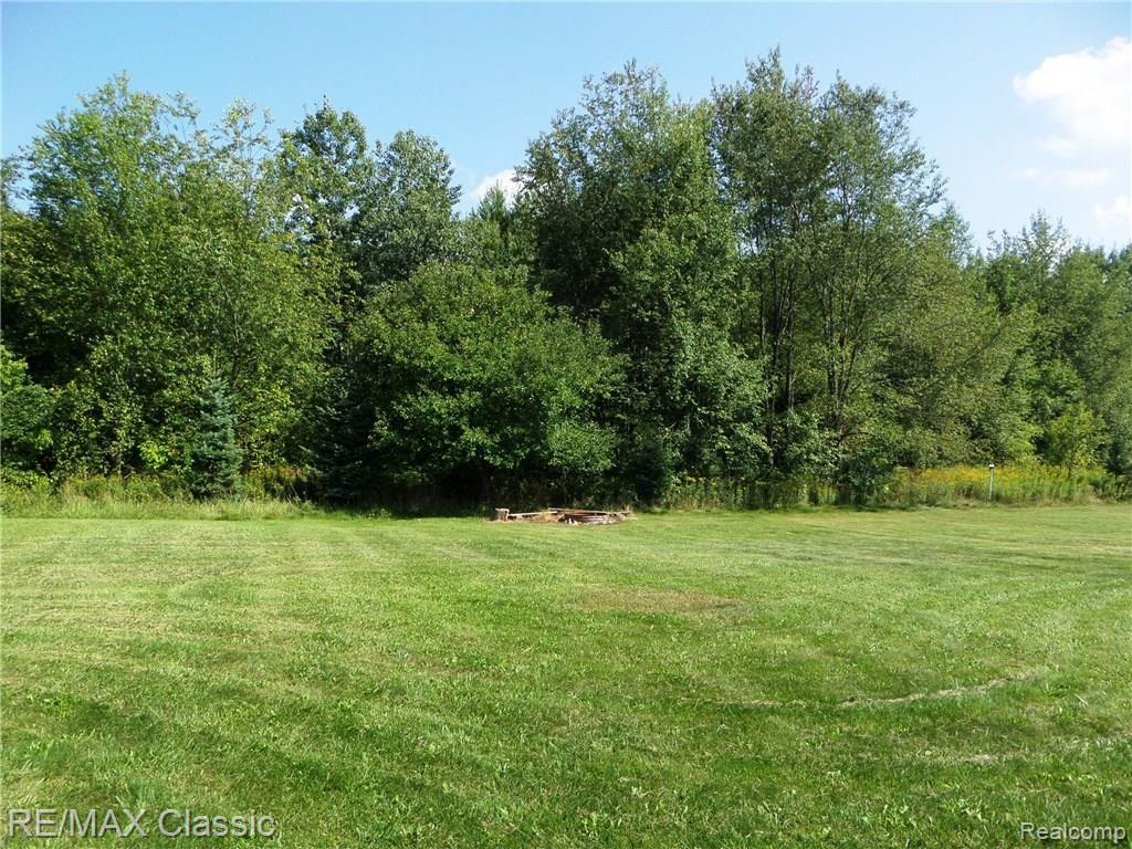10099 West Coon Lake Road Webberville, MI 48892 - Photo 4 of 15 Large private back yard