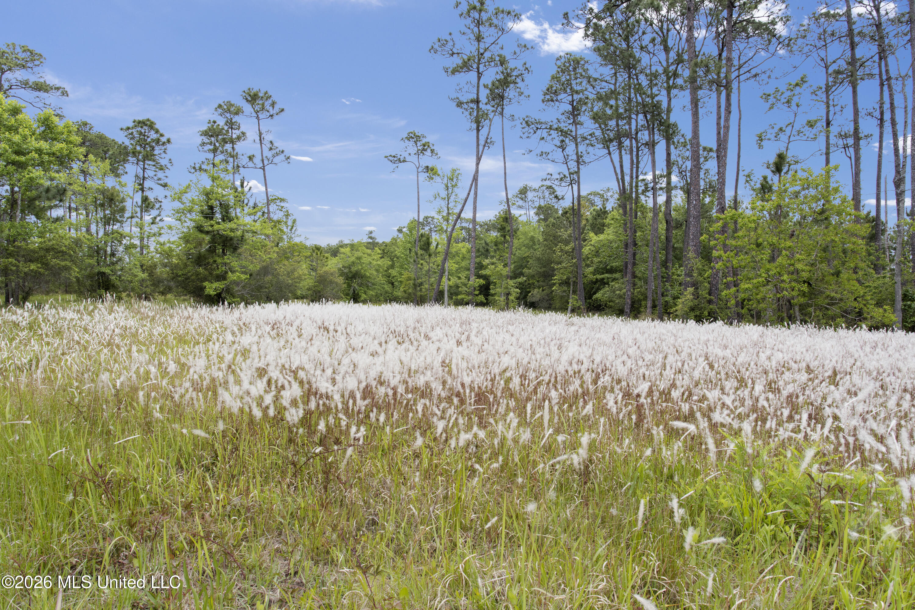 0 Hummingbird Lane Biloxi, MS 39532 - Photo 5 of 17 004
