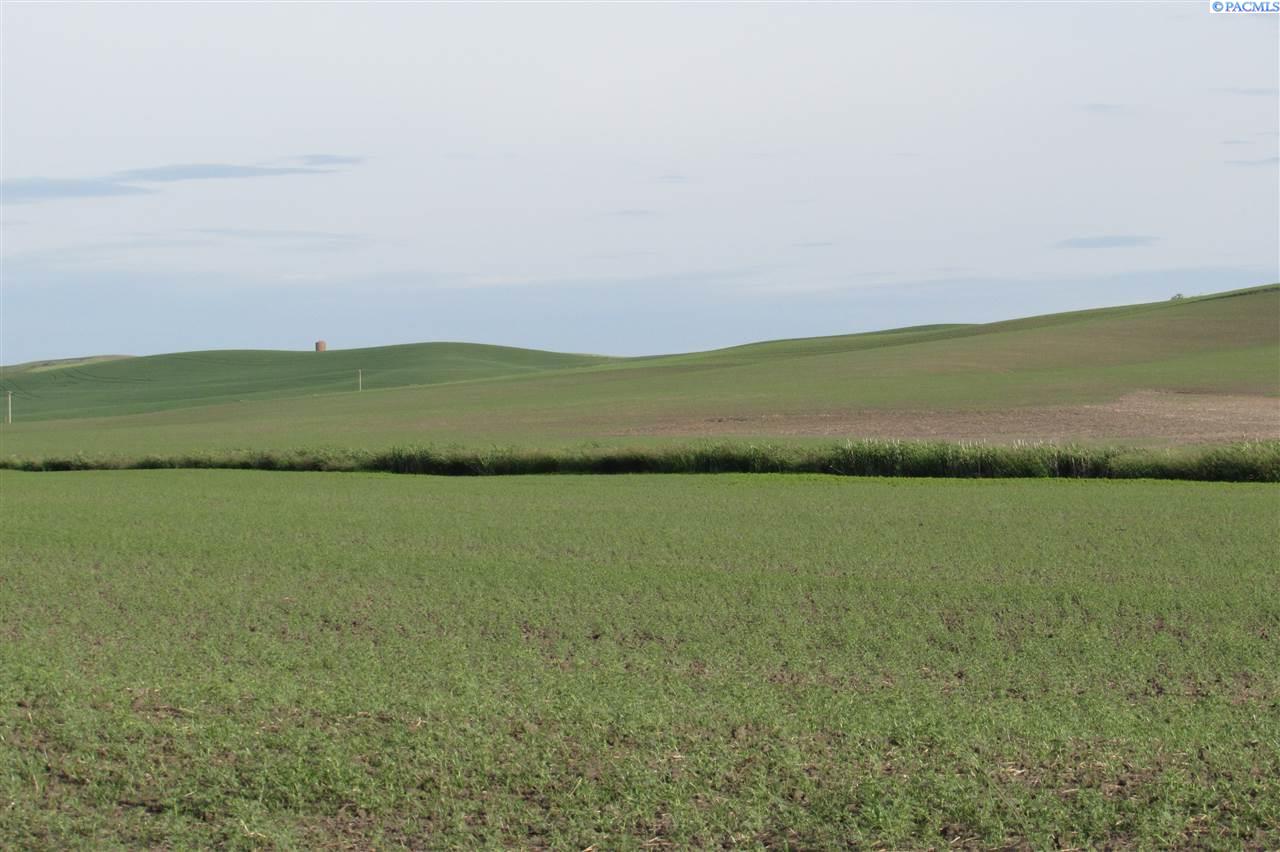 Flat Road Pullman, WA 99163 - Photo 1 of 1 Gallery Image 1