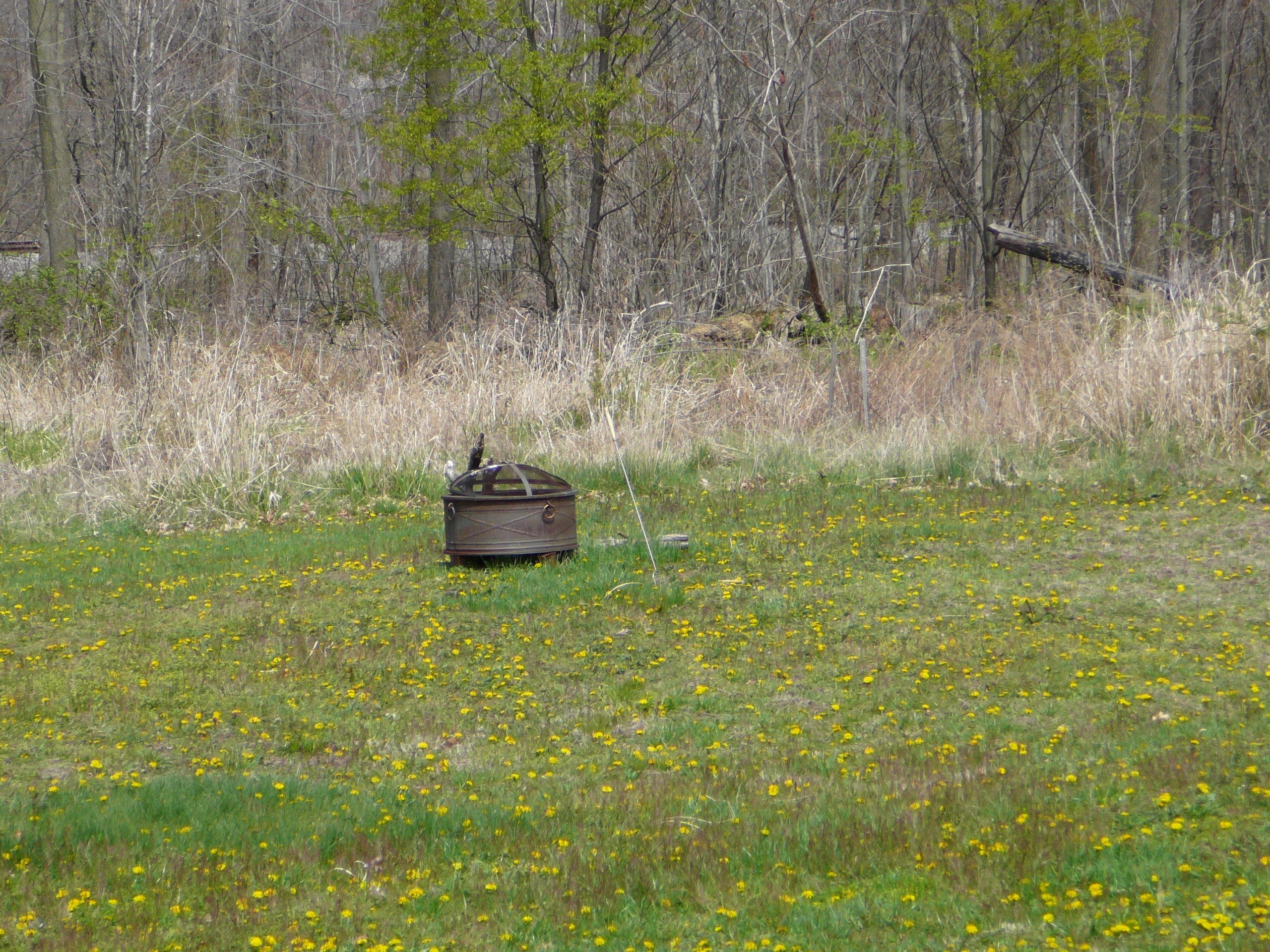 9064 Van Wert Road Allen, MI 49227 - Photo 15 of 37 Firepit