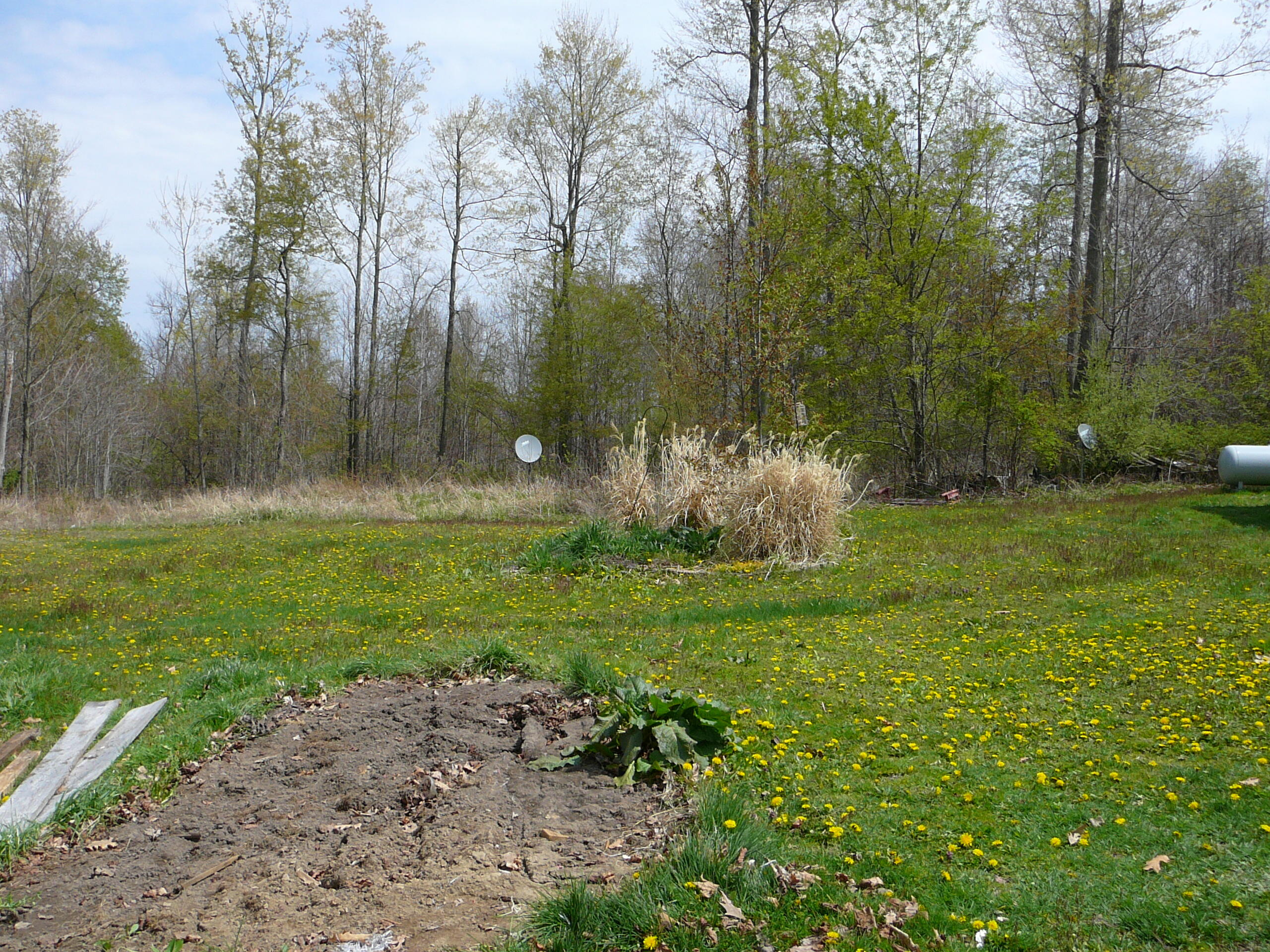9064 Van Wert Road Allen, MI 49227 - Photo 16 of 37 P1060938