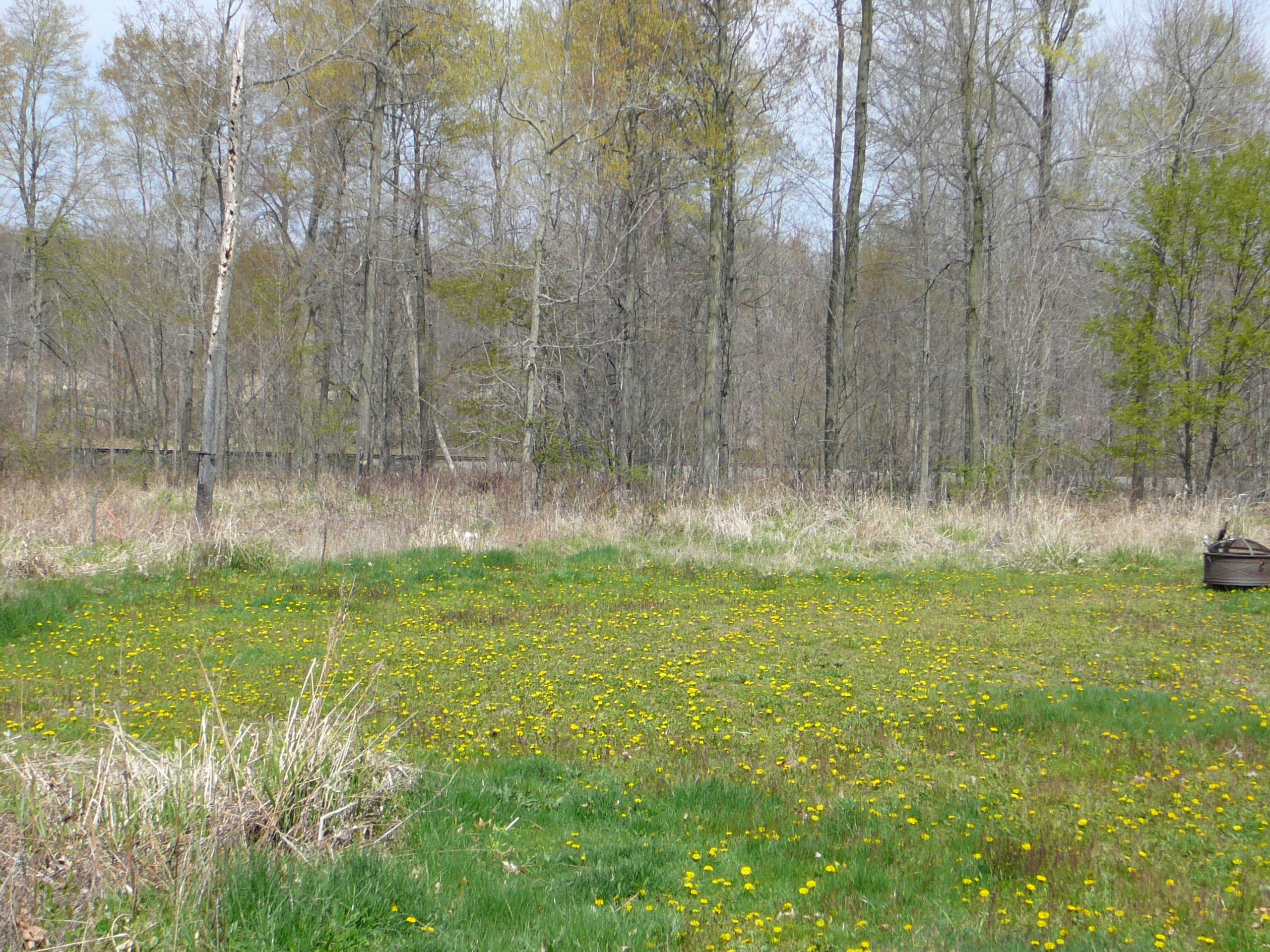 9064 Van Wert Road Allen, MI 49227 - Photo 17 of 37 P1060939