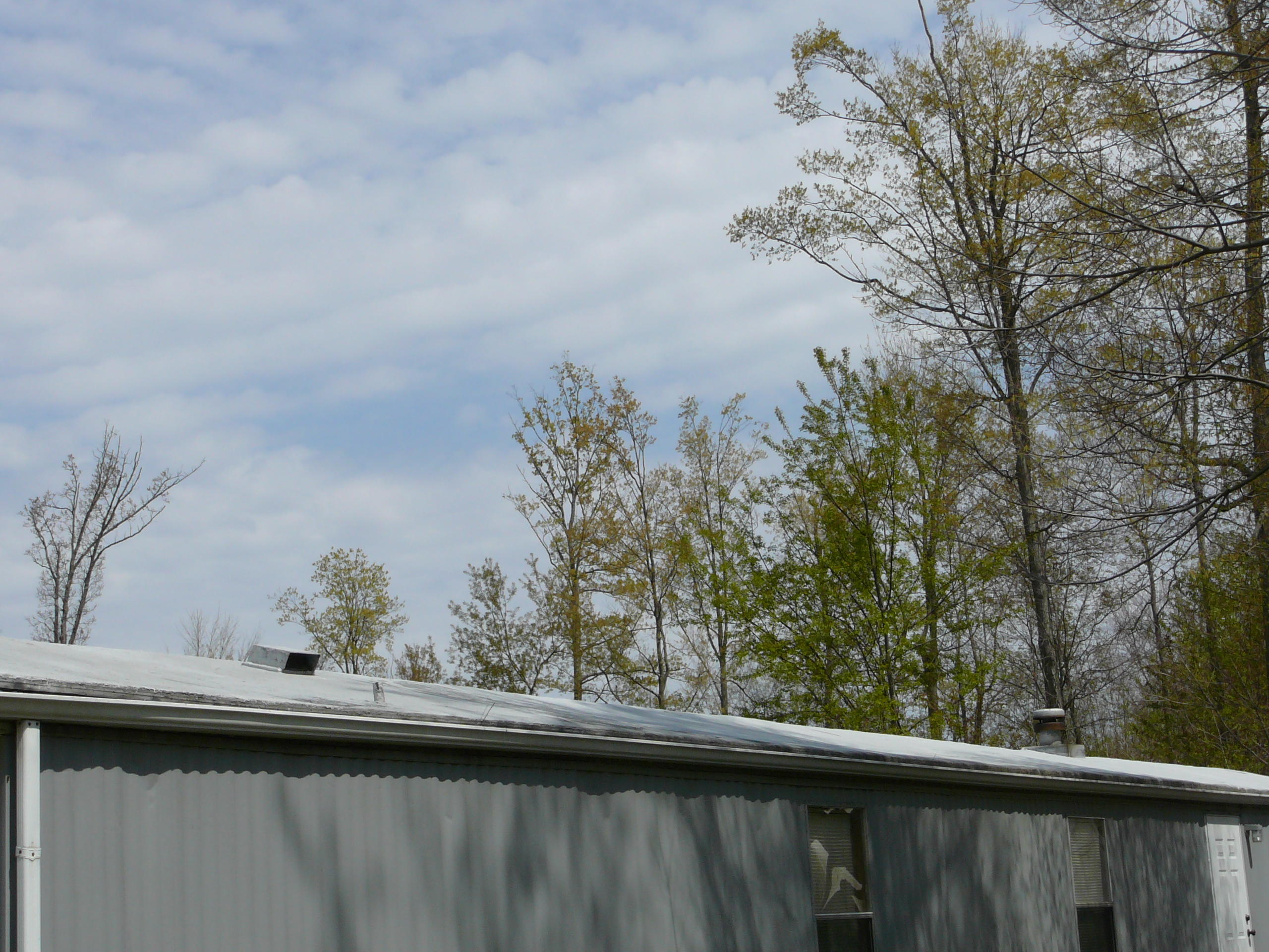 9064 Van Wert Road Allen, MI 49227 - Photo 7 of 37 roof