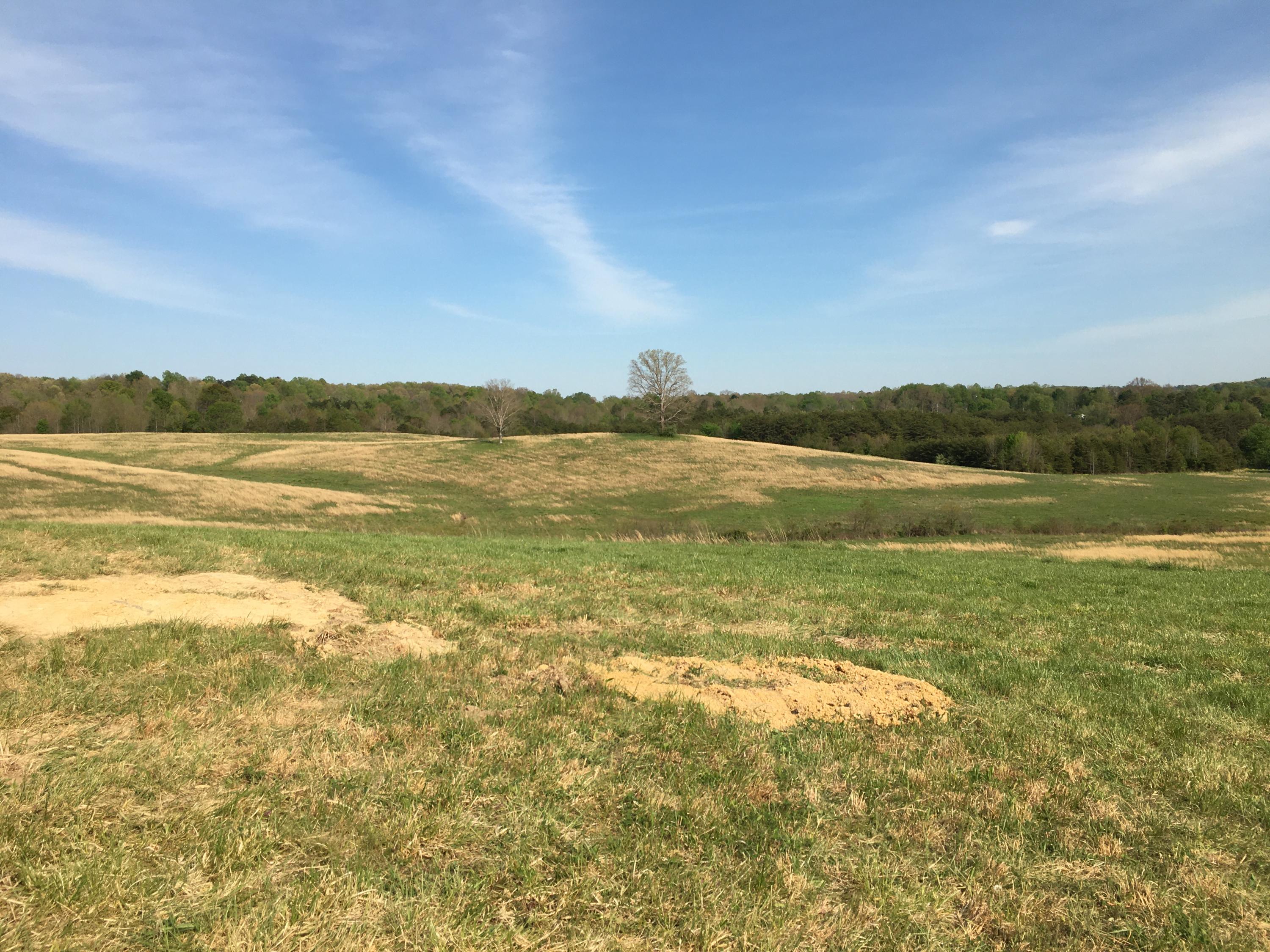 842 Slate Ridge Ch Road Lily, KY 40740 - Photo 21 of 30 21
