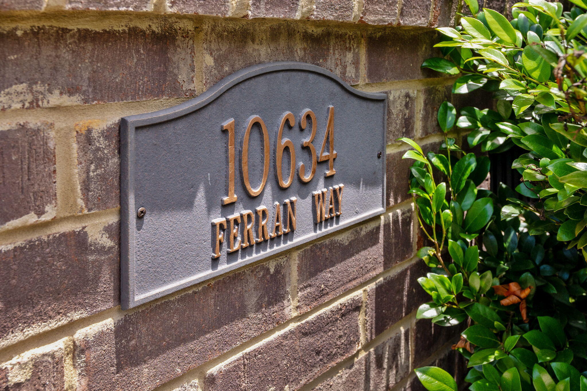 10634 Ferran Way Apison, TN 37302 - Photo 8 of 49 8-web-or-mls-DSC_8451