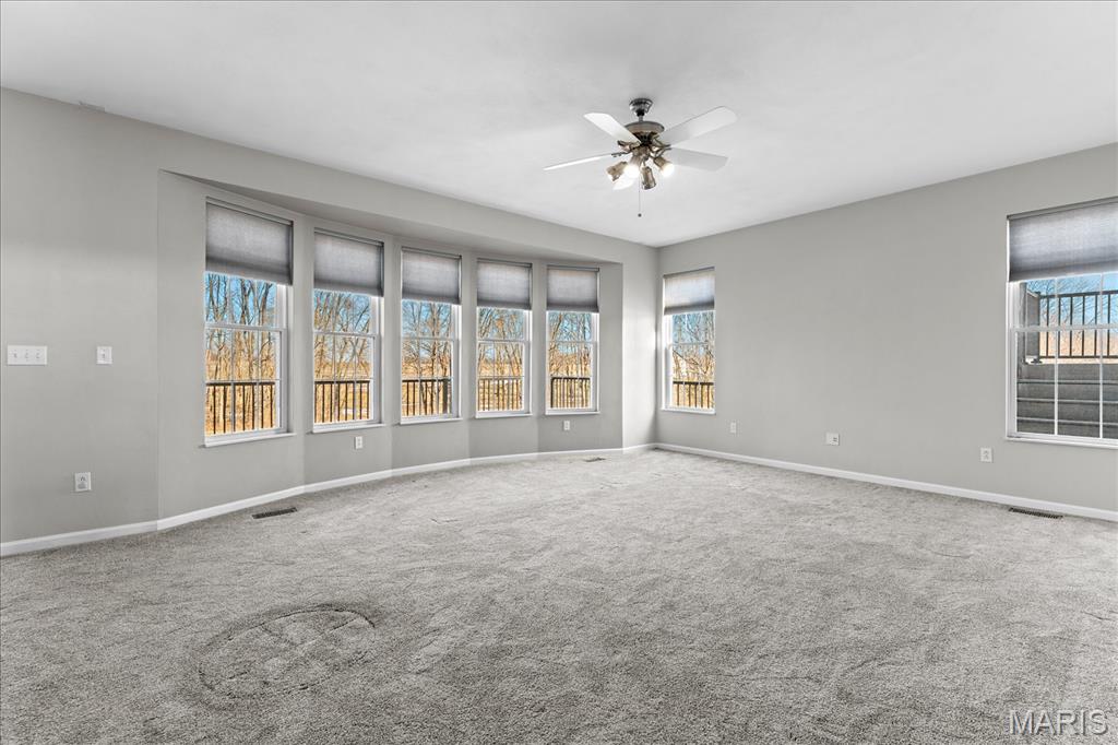 8225 Peabody Road Freeburg, IL 62243 - Photo 23 of 83 Gallery Image 23