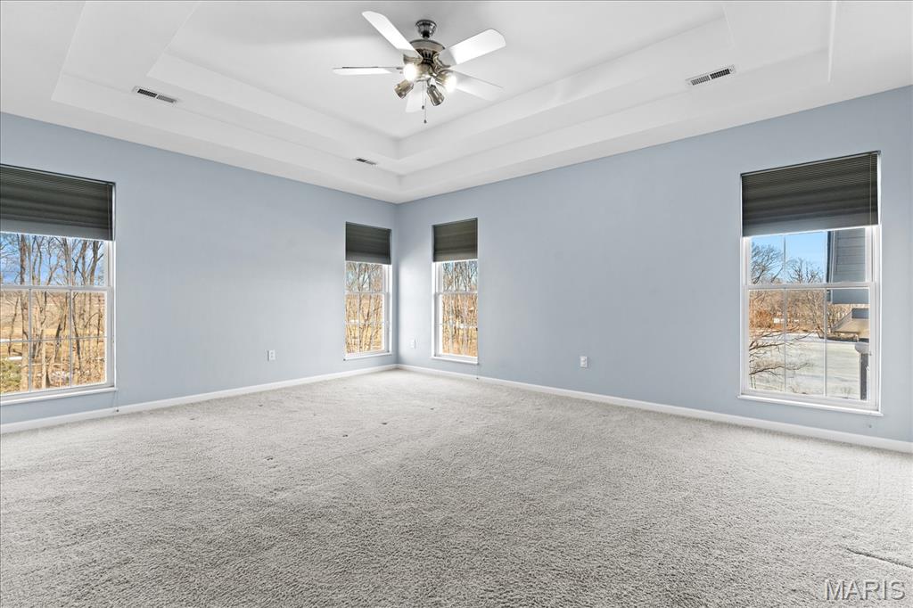 8225 Peabody Road Freeburg, IL 62243 - Photo 44 of 83 Gallery Image 44