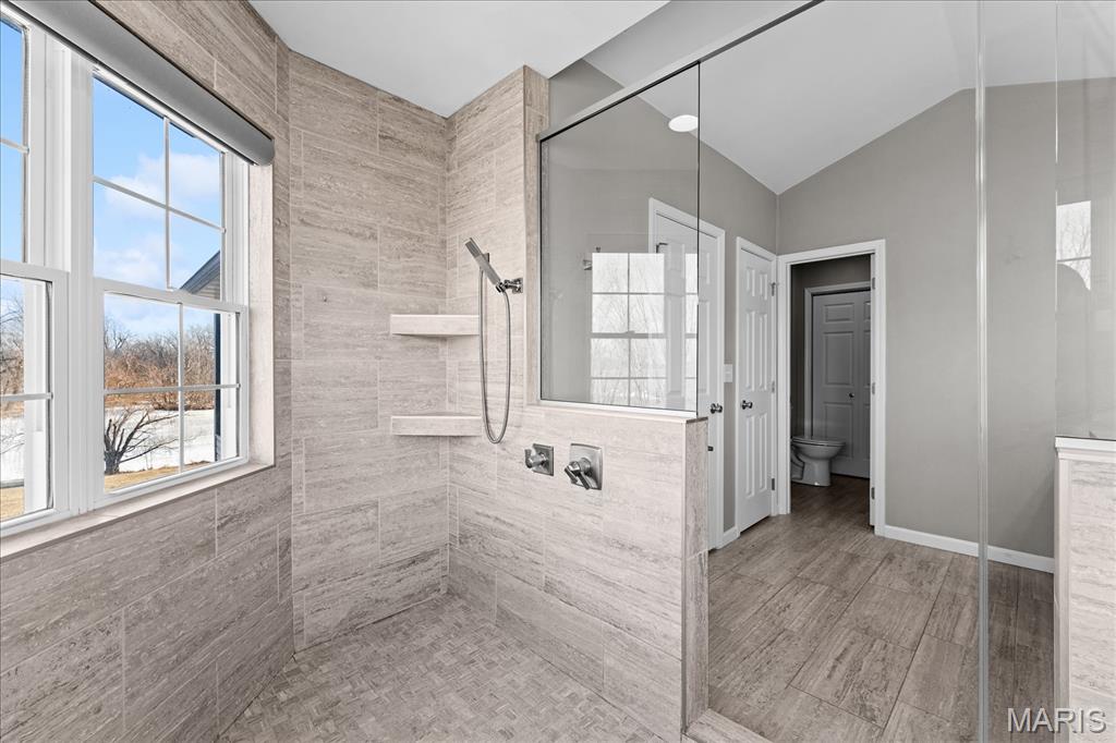 8225 Peabody Road Freeburg, IL 62243 - Photo 49 of 83 Gallery Image 49