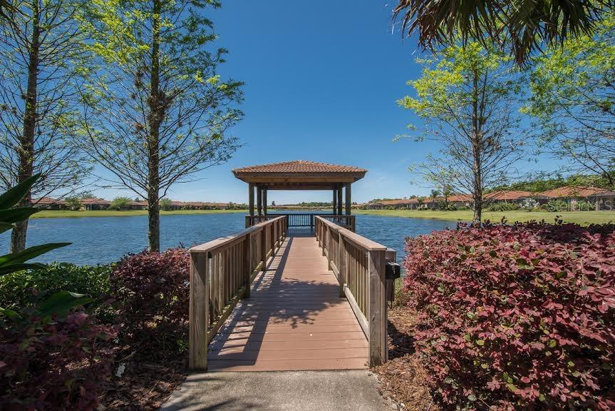 107 Shell Falls Drive Apollo Beach, FL 33572 - Photo 44 of 54